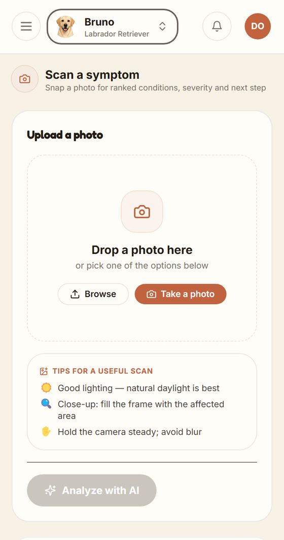 The Image Scanner in the app, ready to take or upload a photo, with tips for a useful scan: good lighting, a close-up filling the frame, and a steady camera.